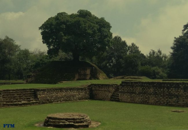 IXIMCHE CERO