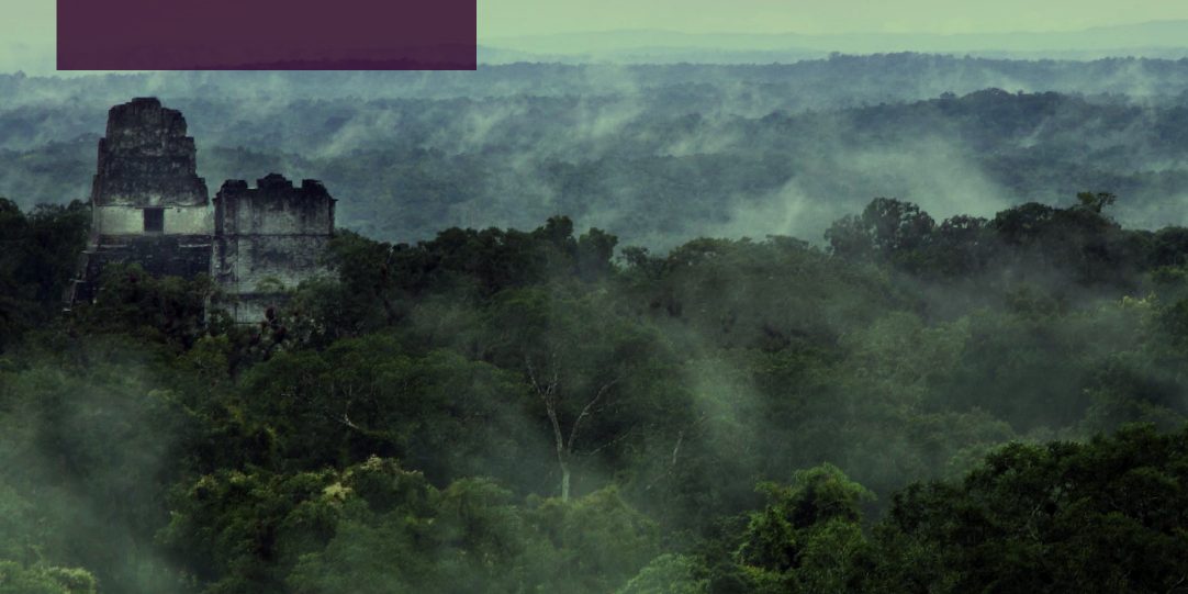 PETEN1