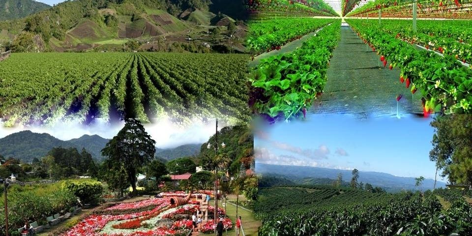PANAMA