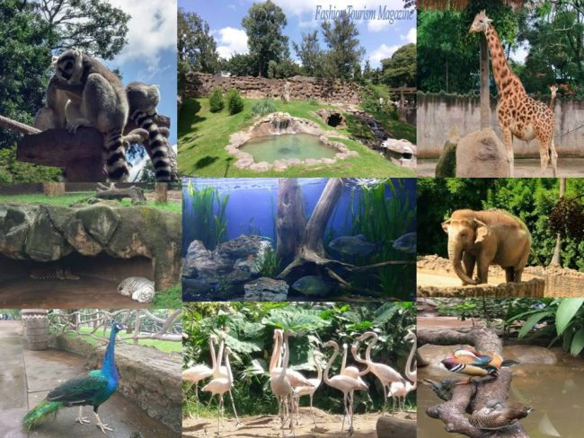 zoologico fotos