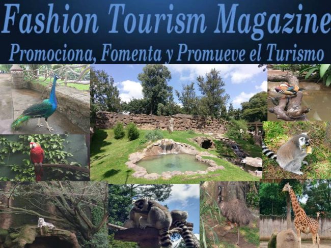 ZOOLOGICO PAGINA WEB