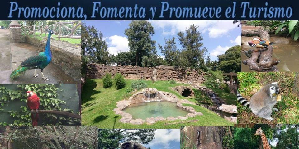 ZOOLOGICO PAGINA WEB