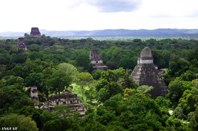 FOTO SELVA TIKAL