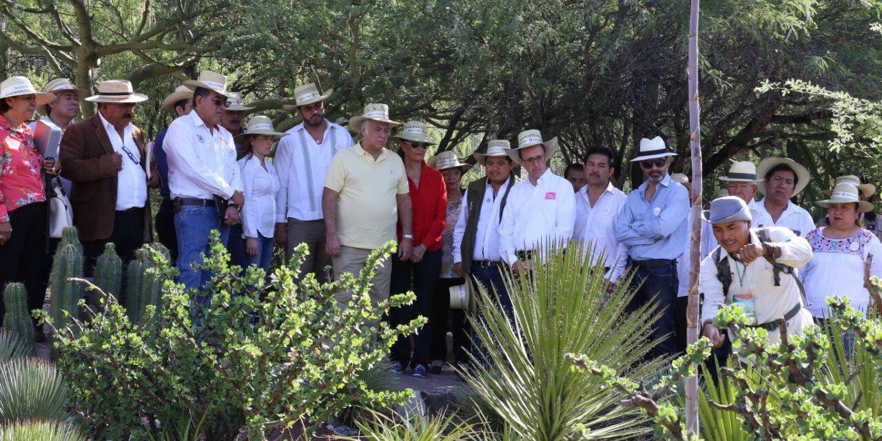 Reserva de la biosfera “Jardín Botánico Helia Bravo Hollis” 3 (1)
