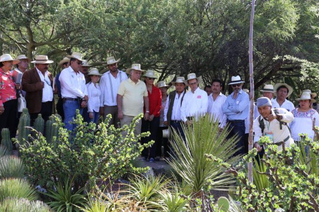 Reserva de la biosfera “Jardín Botánico Helia Bravo Hollis” 3 (1)
