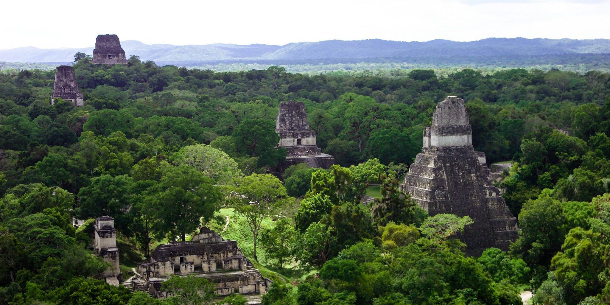 FOTO SELVA TIKAL