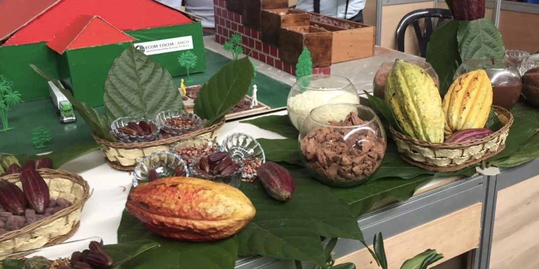 FESTIVAL DEL CHOCOLATE 01