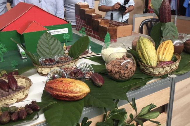 FESTIVAL DEL CHOCOLATE 01
