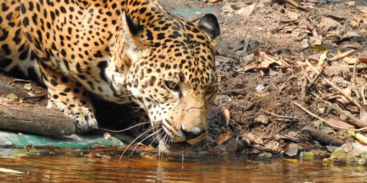 f956d392-7305-493e-9742-97b98f6668fa