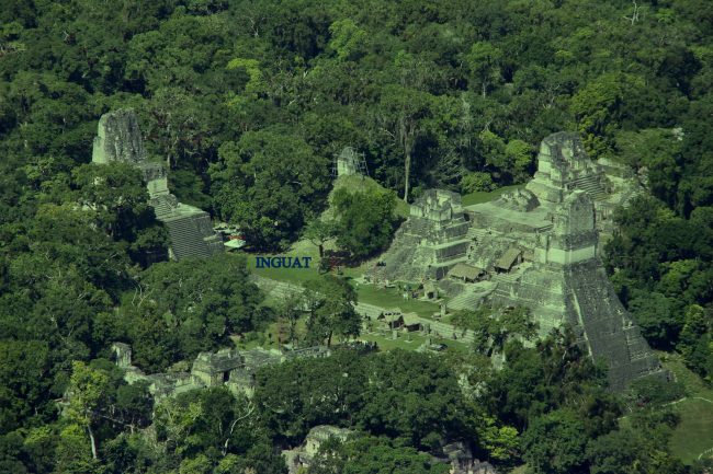 tikal en su extencion de selva