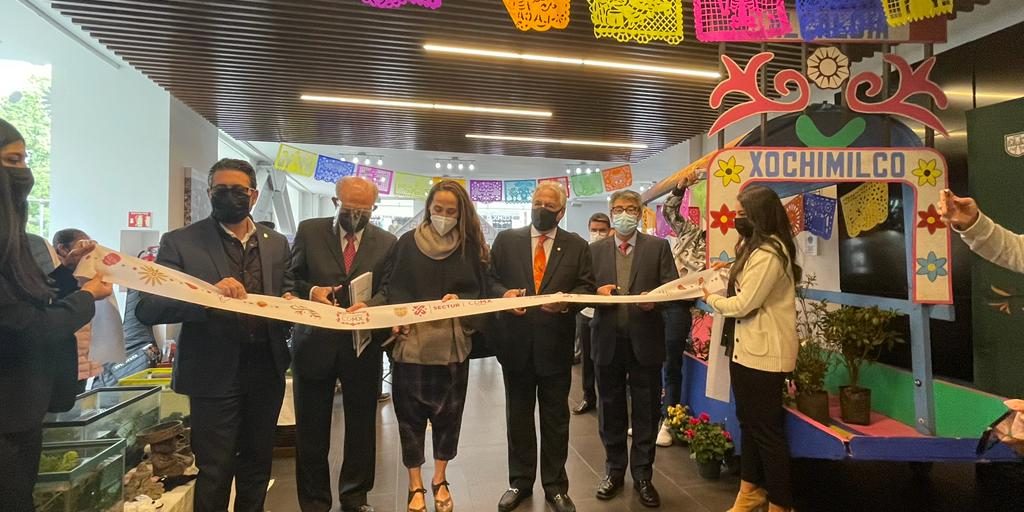 Arte y Colores de la CDMX (3)