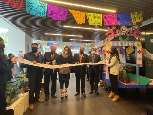 Arte y Colores de la CDMX (3)
