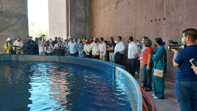 03 Nuevo Acuario 04 (1)