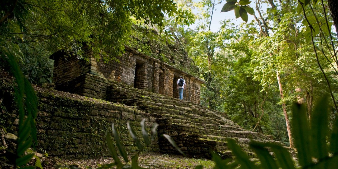 amexico
