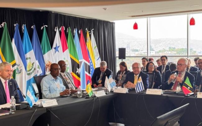 CELAC-CANCILLER2