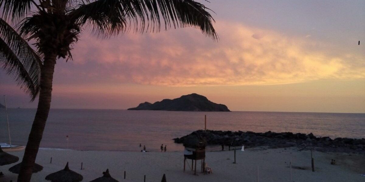 thumbnail (1)