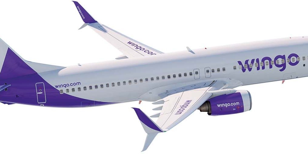 IMG-Wingo