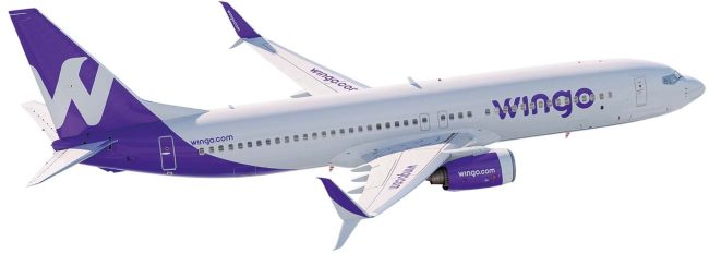 IMG-Wingo