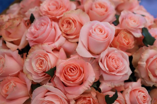 1a43c8d5-3513-4539-8fe2-511b0d22027e